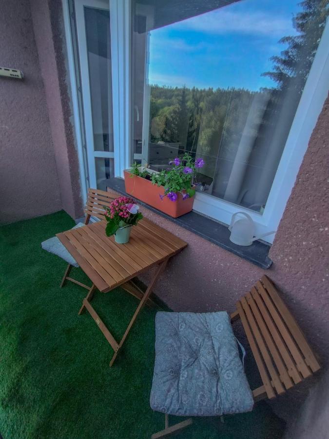 Apartmanek Protez Janske Lazne Exterior foto